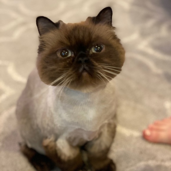 Meet your Posher, Sara - Picture 7 of 12